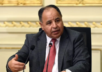 معيط : 42 ألفًا تقدموا لمبادرة «تيسير استيراد سيارات المصريين بالخارج»