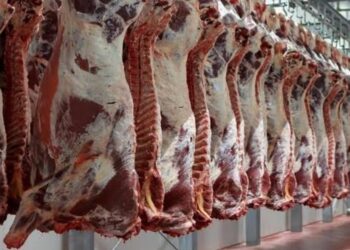 “التموين” تطرح لحومًا طازجة بـ165 جنيهًا
