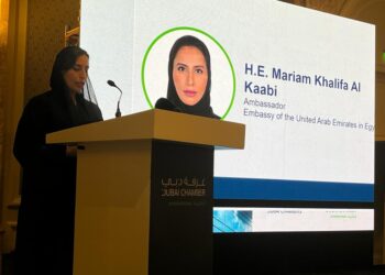 «موانئ أبوظبي» تبحث إقامة مناطق لوجيستية بـ«اقتصادية قناة السويس»