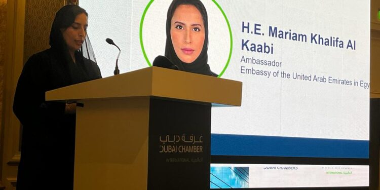 «موانئ أبوظبي» تبحث إقامة مناطق لوجيستية بـ«اقتصادية قناة السويس»