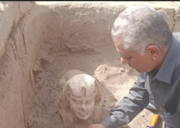 اكتشاف تمثال شبيه بـ”أبي الهول”  جنوب مصر