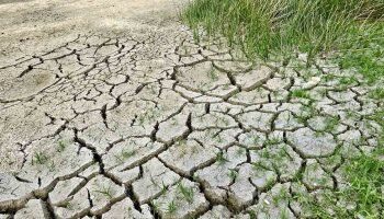 الجفاف يهدد 60% من القمح فى الأرجنتين وخسائر 7.3 مليار دولار فى الصويا