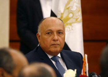 شكرى يؤكد ضرورة الحفاظ على مؤسسات الدولة السودانية واستئناف الحل السياسى