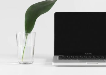 MacBook Pro beside plant in vase