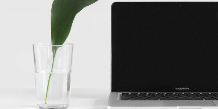 MacBook Pro beside plant in vase